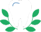 Tooth surrounded by garlands icon
